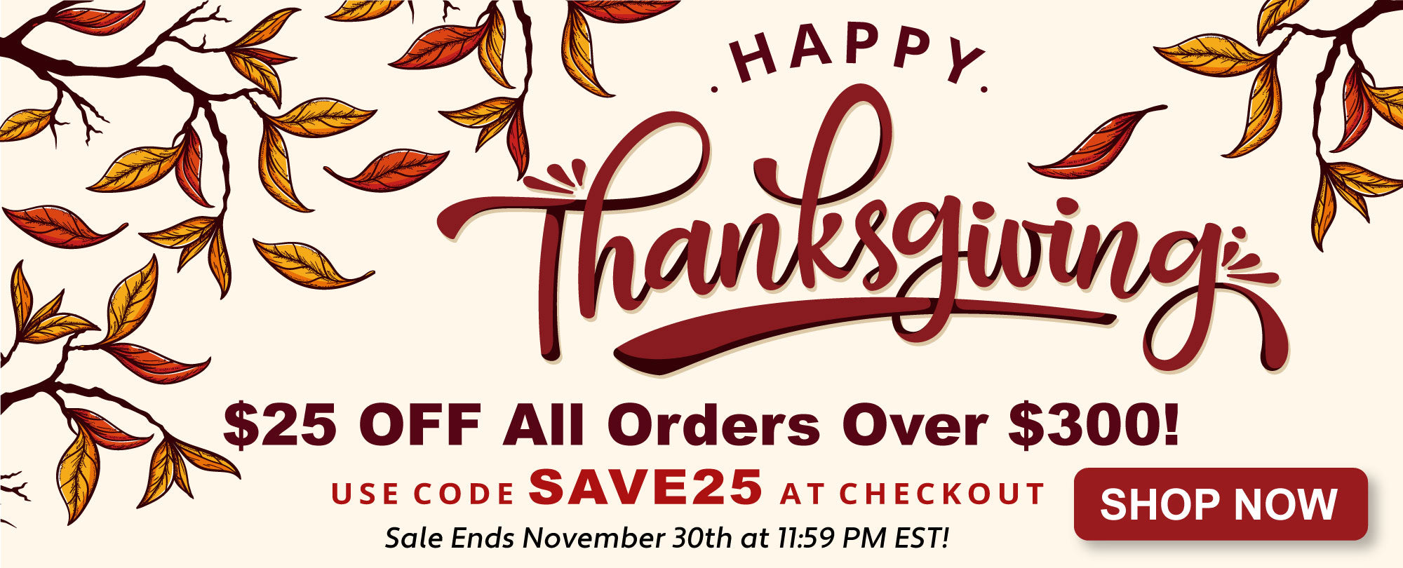 Pressure Sore Cushions